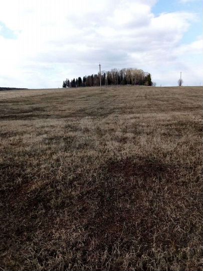 Участок 12 сот. (ИЖС)