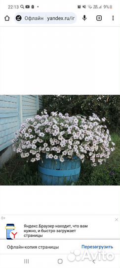 Набор растений