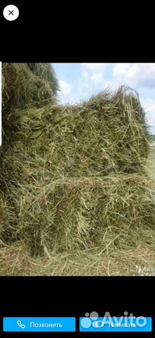 Сено в рулонах