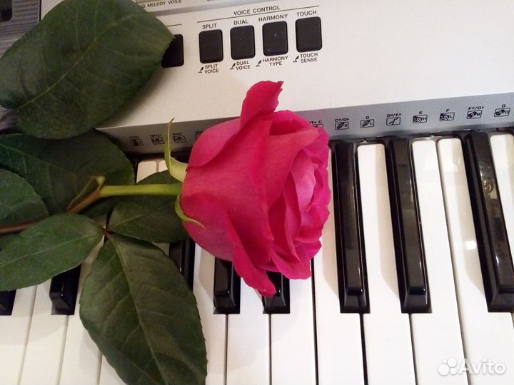 Написание минусовок