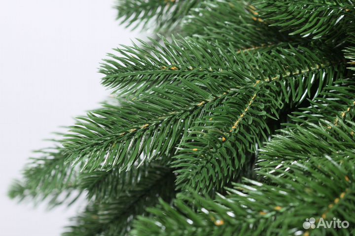 Ель Сибирская