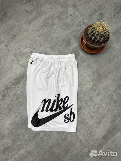 Шорты Nike sb