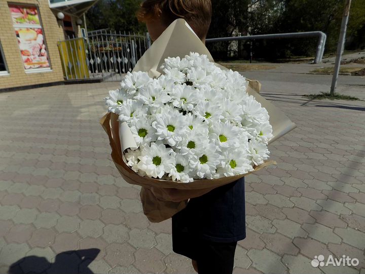 Ромашки. Букеты. Полевые Цветы