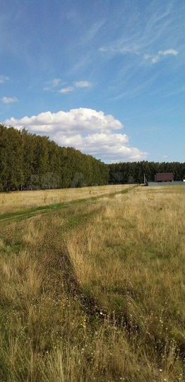 Участок 10 сот. (ИЖС)