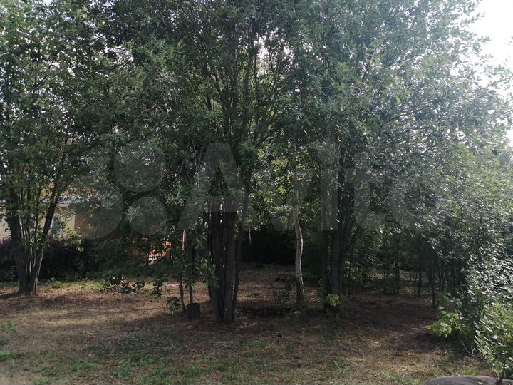 Участок 11,5 сот. (СНТ, ДНП)