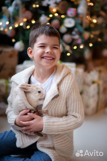 Семейный фотограф