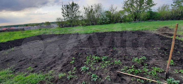 Дом 31,9 м² на участке 43,4 сот.