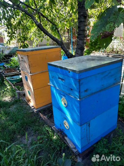 Улей системы рут