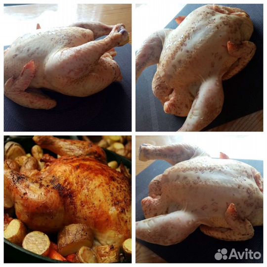 Мясо кур домашних