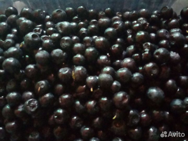 Соберу ягоду