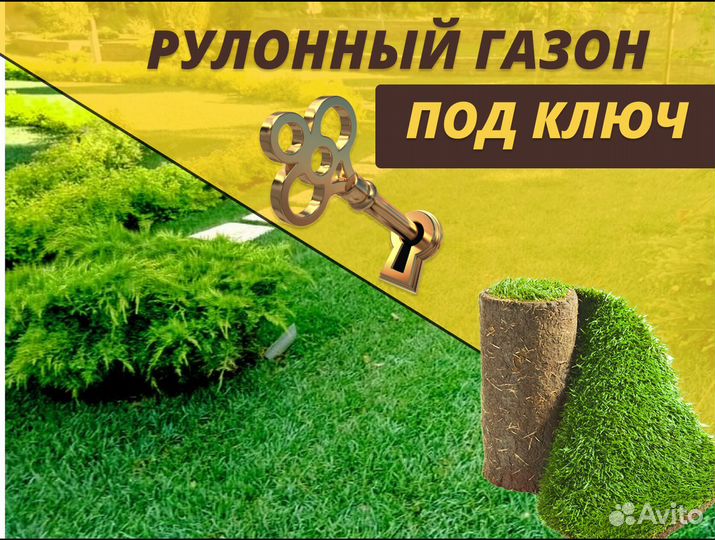 Рулонный газон от производителя спортивный
