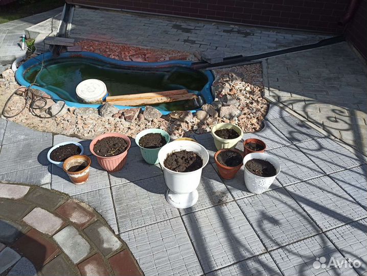 Цветочные горшки бу от 50 р