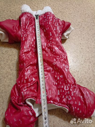 Одежда для собак