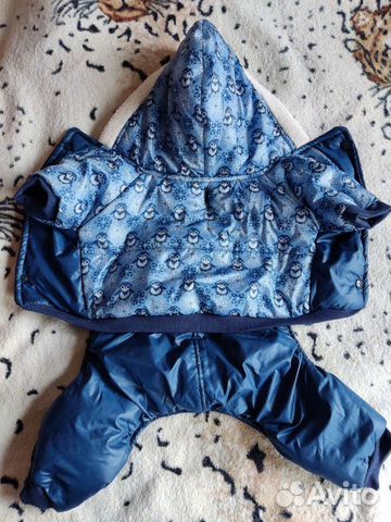 Одежда для маленьких собак