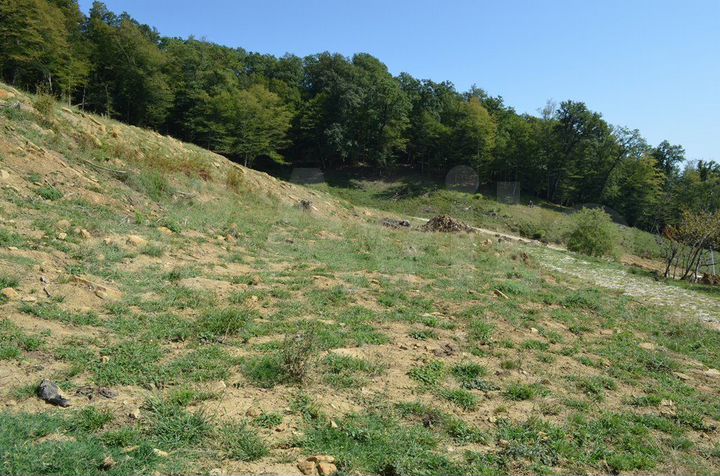 Участок 6 сот. (СНТ, ДНП)