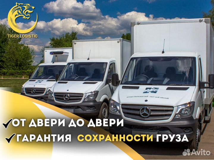 Грузоперевозки 20 тонн