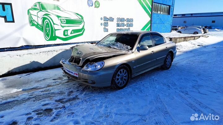 Кожух замка капота Hyundai Sonata EF 811933D000