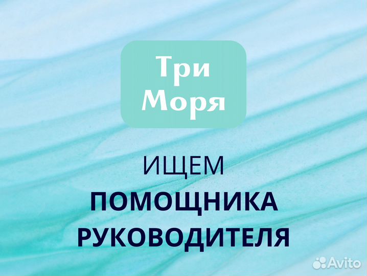 Помощник руководителя