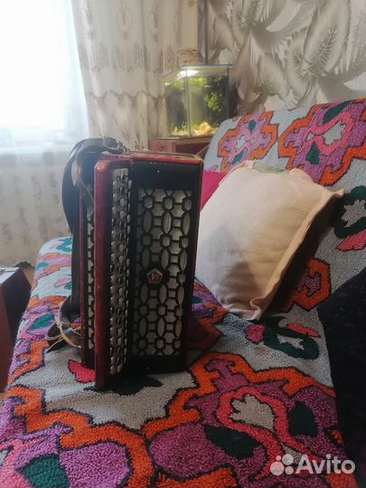 Баян этюд 205м