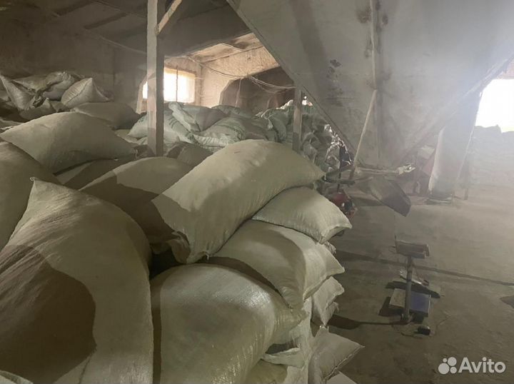 Комбикорм для откорма быков