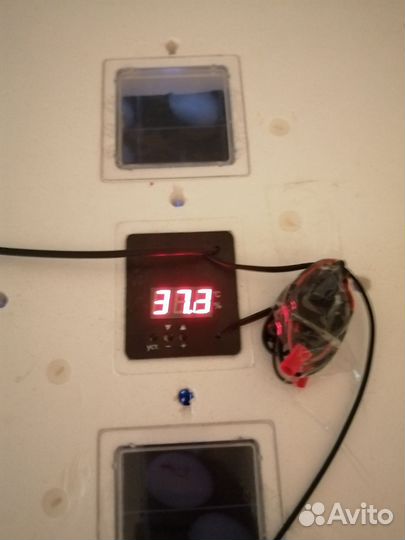 Инкубатор для яиц автоматический