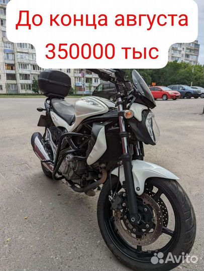 Продам мотоцикл Suzuki SFV Gladius 400