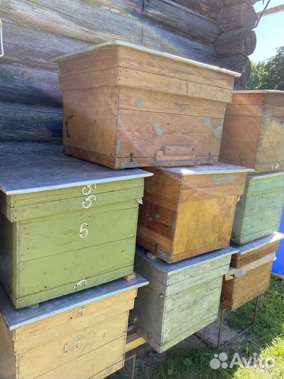 Улей для пчел