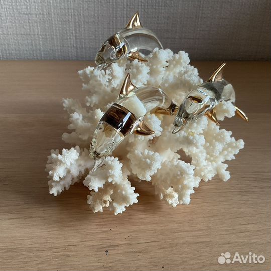 Сувениры, коралл