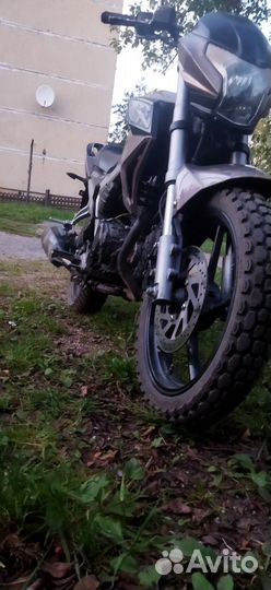 Racer rc250ck-n