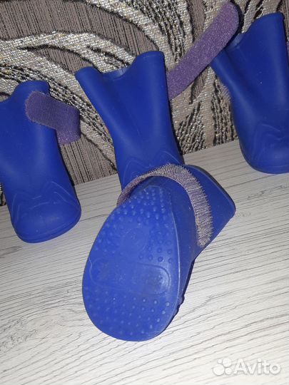 Обувь для маленьких собак