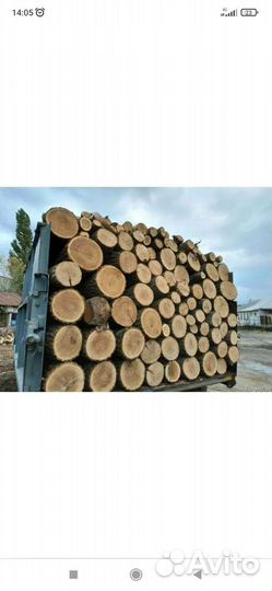 Дрова дубовые