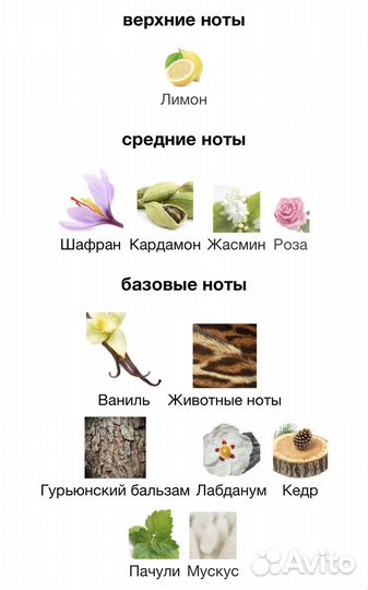Regent Leather Thameen оригинал распив