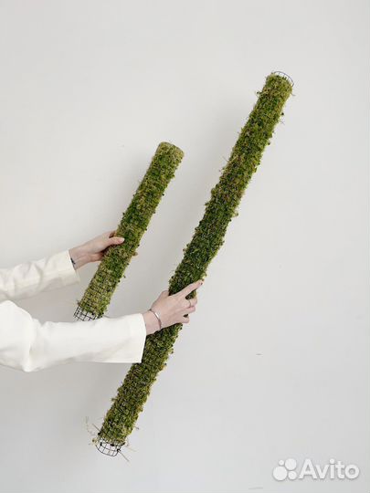 Опора для растений с воздушными корнями