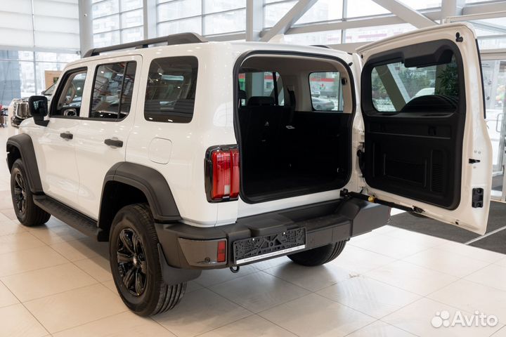 Tank 300 2.0 AT, 2024