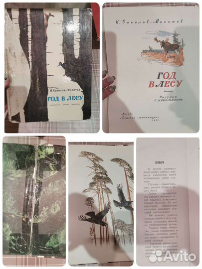 Книги ссср,Год в лесу,детям о Владимире Ленине