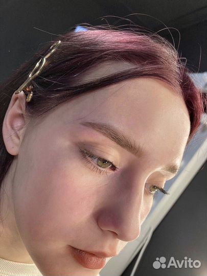 Мастер бровист