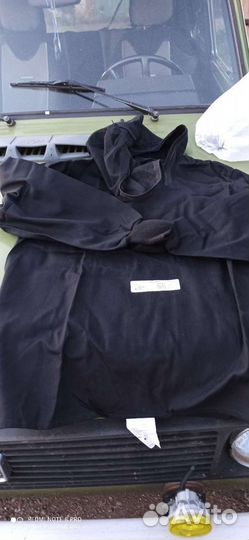 Энцефалитка