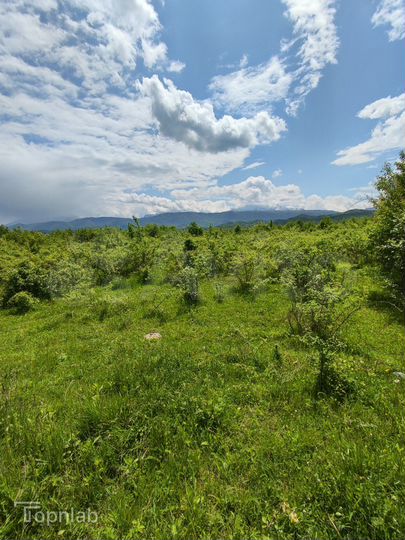 Участок 50 сот. (СНТ, ДНП)