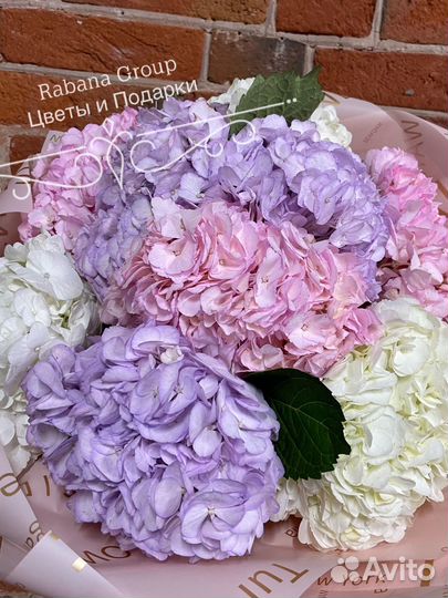 Гортензии с доставкой. Цветы гортензии