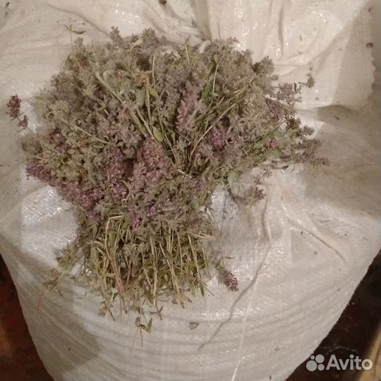 Лечебные травы душица чабрец мята и шиповник