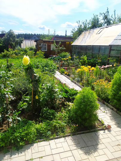 Дача 35 м² на участке 6 сот.