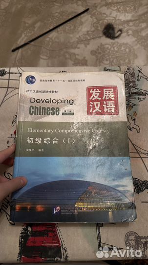 Книги developing Chinese