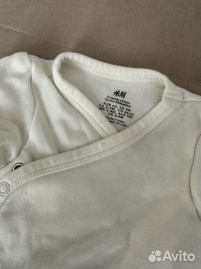 Боди hm на запах 62