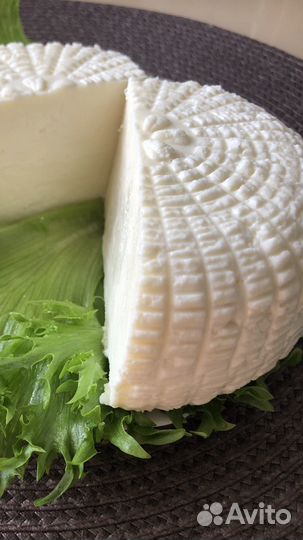 Сыр адыгейский