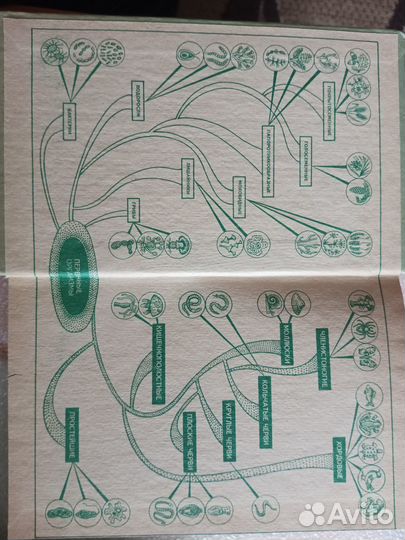 Учебное пособие. Биология. Издательство 1995 года