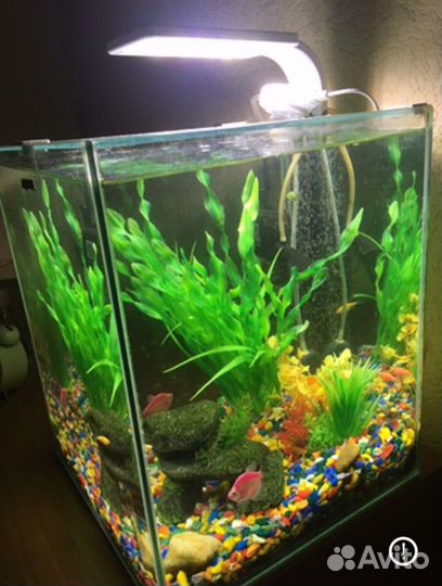 Аквариум cube 30 литров