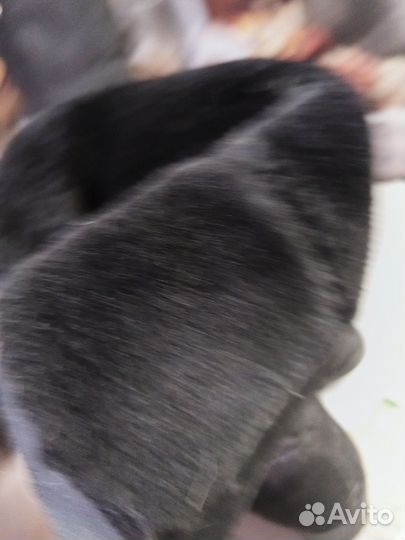 Сапоги женские зимние 39