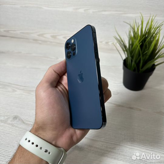 iPhone 12 Pro, 256 ГБ