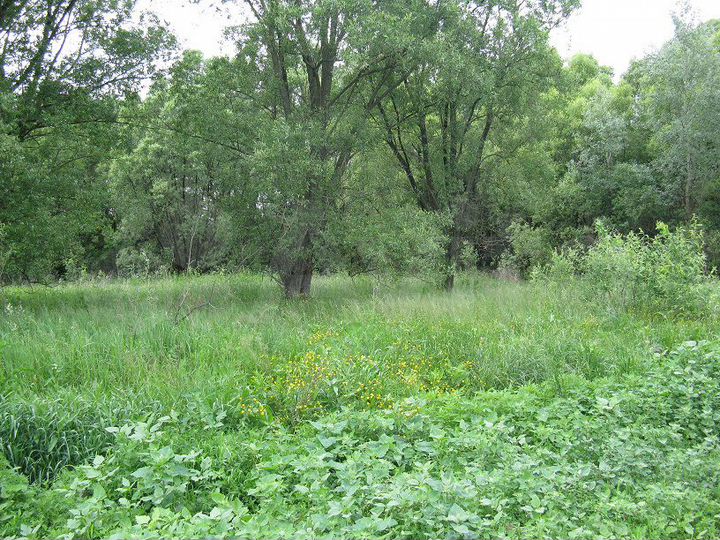 Участок 25 сот. (ИЖС)