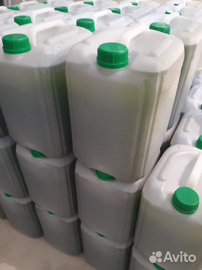 Хлорелла для пруда